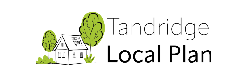 Tandridge Local PLan